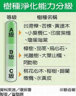 樹木淨化空氣|環保署公布「空氣品質淨化能力樹種分級」